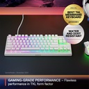 SteelSeries Apex 3 TKL Gaming Keyboard - White (US)
