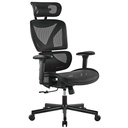 Brateck Ergonomic Office Chair with Headrest