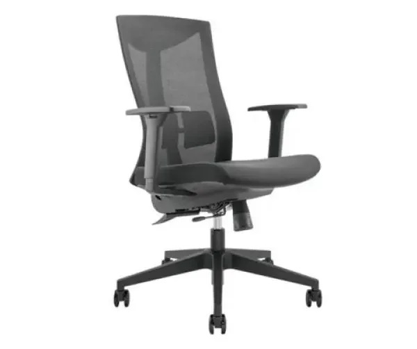 Brateck Ergonomic Office Chair Fully Adjustable